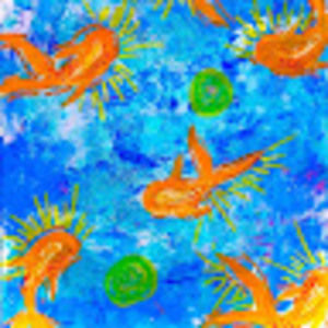 Meet your Posher, Rowan